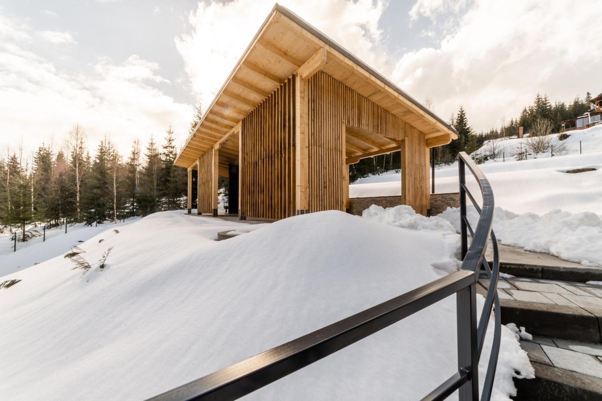 Sali Chalet - Villa In Muntii Apuseni Бъйшоара Екстериор снимка